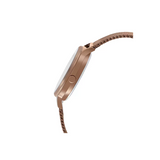 CASIO ENTICER LADIES LTP-E157MR-9ADF - A1693