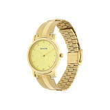 Sonata Champagne Dial Golden Stainless Steel Strap Watch NT1013YM24