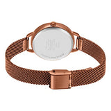 CASIO ENTICER LADIES LTP-E413MR-9ADF - A1799