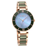 Titan Purple Ceramics Green Dial Steel & Ceramic Strap Watch for Women 95216KD01