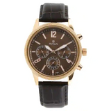Titan Workwear Watch with Brown Dial & Leather Strap - 1734WL01 - KRISHNA WATCH COMPANY