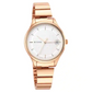 Titan Workwear Silver Dial Rose Gold Stainless Steel Strap Watch NP2649WM01 (DK788)