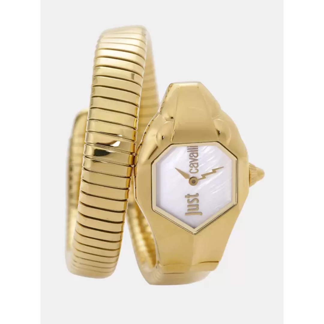 JUST CAVALLI JC1L001M0025 Analogue Watch With Stainless Steel Strap
