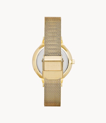 Anita Lille Gold-Tone Steel Mesh Watch SKW2150