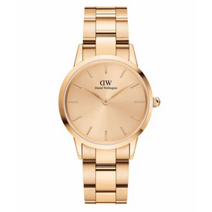 Daniel Wellington DW00100483 Iconic Link Unitone Analog Watch for Women - KRISHNA WATCH COMPANY