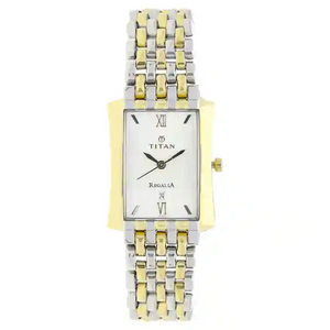 Titan Silver Dial Two Toned Stainless Steel Strap Watch NN1927BM01 - KRISHNA WATCH COMPANY