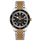 RADO Captain Cook Automatic R32137153