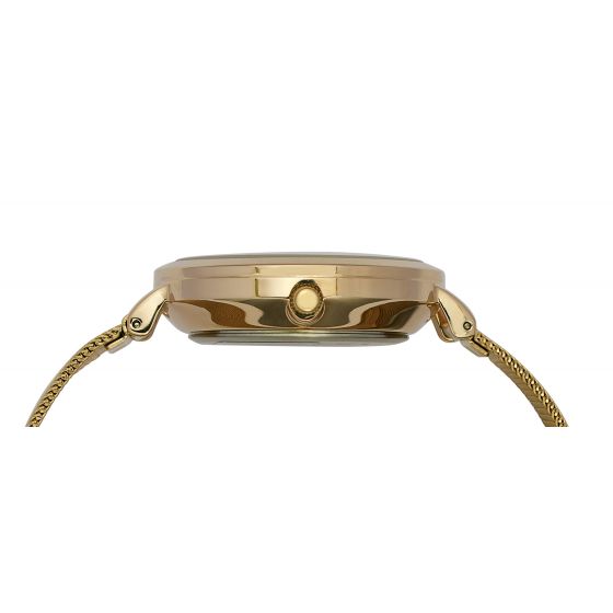 TIMEX STAR DUST MULTIFUNCTION ANALOG BLUE DIAL WOMEN'S WATCH- TWEL14502